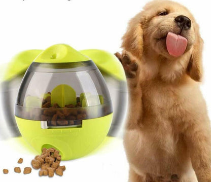 Distributeur interactif intelligent de nourriture pour animaux de compagnie